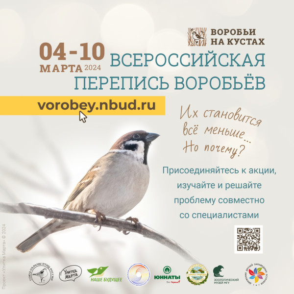 Перепись воробьев – это увлекательно и интересно!