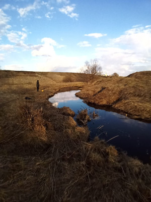 Папа и я. Я и папа. Мы разные, но мы родственники