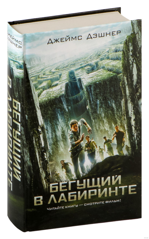 Вы читали книгу Джеймса Дэшнера «Бегущий в лабиринте»? 
