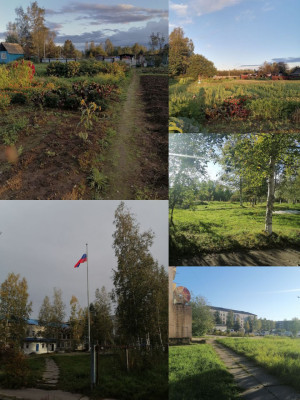 фотографии как смысл жизни