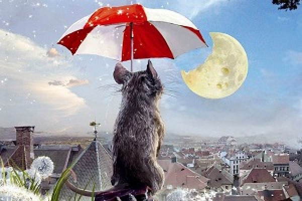 Книга Дэниэла Киза «Цветы для Элджернона» 
