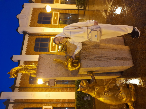 Сквер сибирских кошек