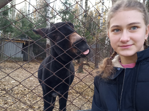 Путешествие по городам 