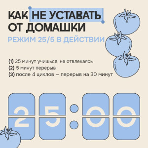 Мои школьные будни