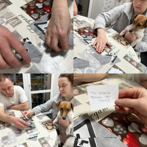 Игра "Безопасный маршрут"