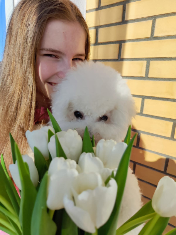 Появление щенка.