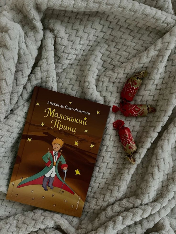 «Маленький принц» - не просто сказка. 