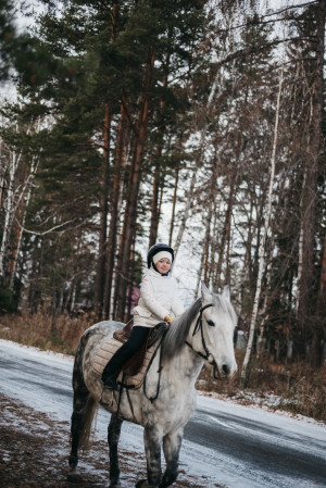 Верхом на коне или как я научилась ездить верхом