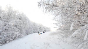 Крымская зима