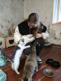 Помощь бездомным животным