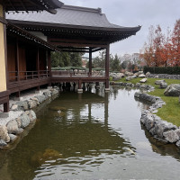 Путешествие в Японию, не выезжая из Краснодара