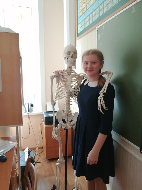 Профессия моей мечты