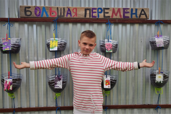 Вертикальные сады 