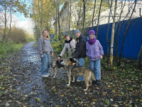 Моя добрая миссия: почему помощь приютам стала частью моей души.