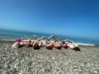 Мои спортивные сборы