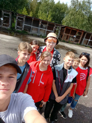 В День кошек поговорим о зооволонтерстве