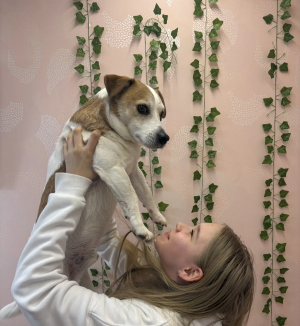 Любимая собака