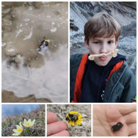 Ранний друг