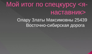 итог. тин-наставники