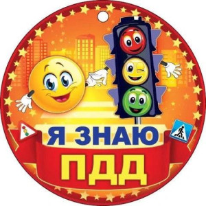 Переходи дорогу правильно! Обучающее видео для детей с ОВЗ