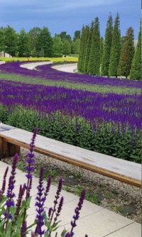 Оазис в сердце Краснодара