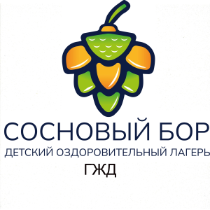 Сосновый Бор: смена которая изменила мою жизнь!