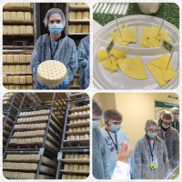 Экскурсия на сыроваренный завод «Сармич»