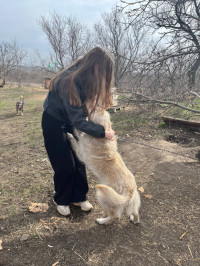 Право на жизнь