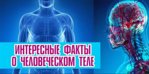 Необычные факты о человеческом теле