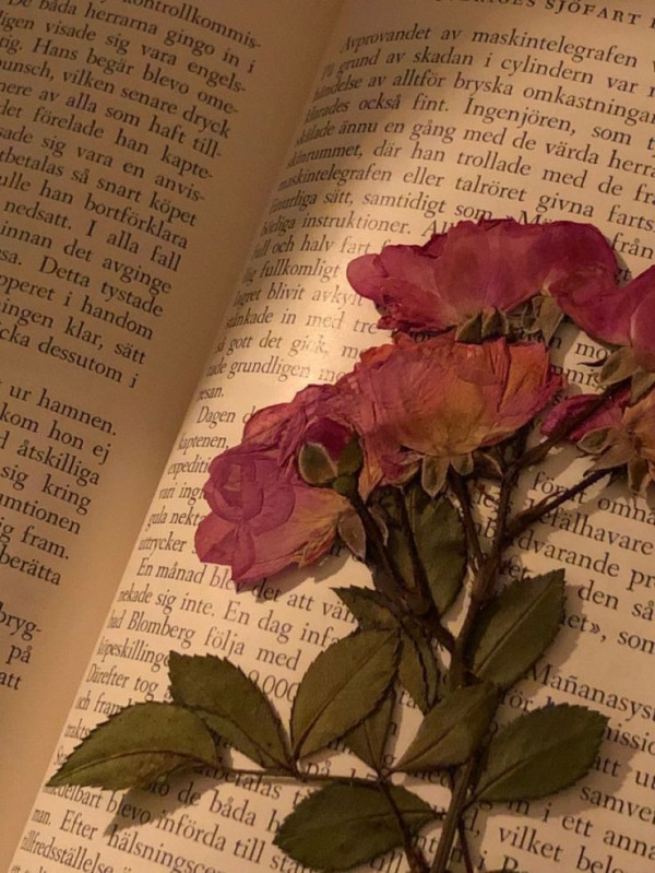 Книжный клуб»: Мой мир в страницах