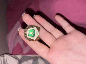 Лагерь»авангард»