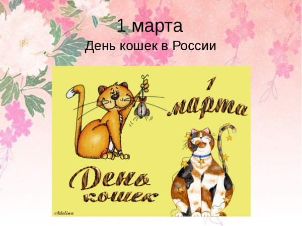 Кошка- идеальное животное?