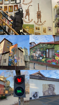 Удивительный город кошек