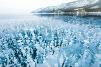 Секрет пузырьков на зимней глади Байкала