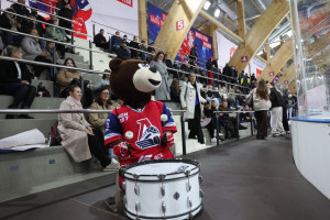 Выходные на хоккее, болеем за любимую команду!