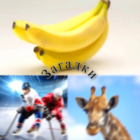 Отгадай со мной!