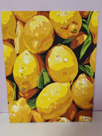 Мое хобби - картины по номерам.