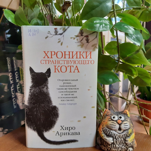 Хроники странствующего кота. 