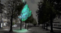 Биолюминесцентные деревья будущего